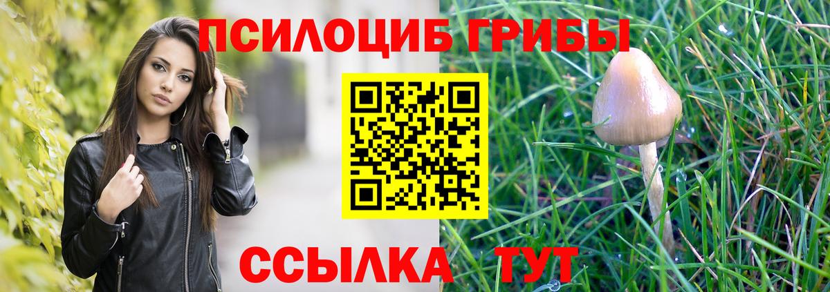 Псилоцибиновые грибы прущие грибы Бор