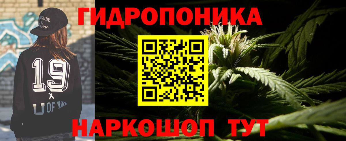 МАРИХУАНА OG Kush Бор